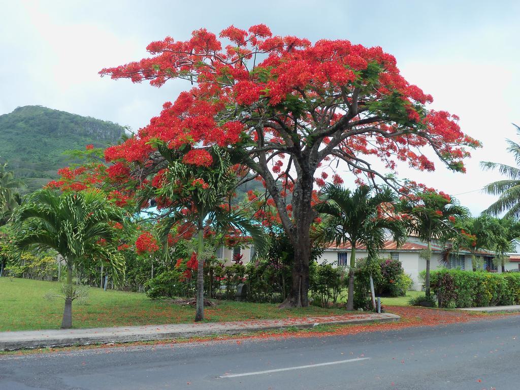 Coral Sands Apartments Rarotonga Eksteriør bilde